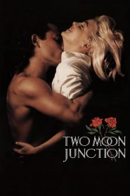 Two Moon Junction watch erotic movies